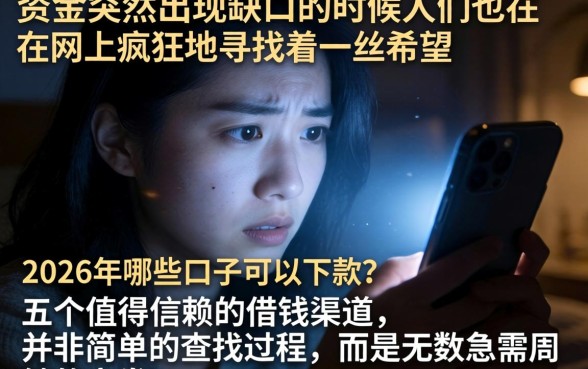 2026年有哪些口子好下款，概括5个值得信赖的借钱口子