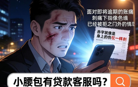 小腰包有贷款客服吗，归集五个综合评分不足有负债都能下款口子