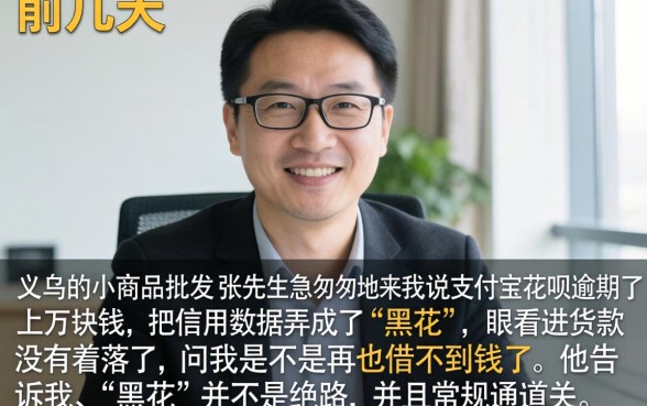 大额黑花口子有吗，整合五个支付宝花呗逾期万元快速贷款平台