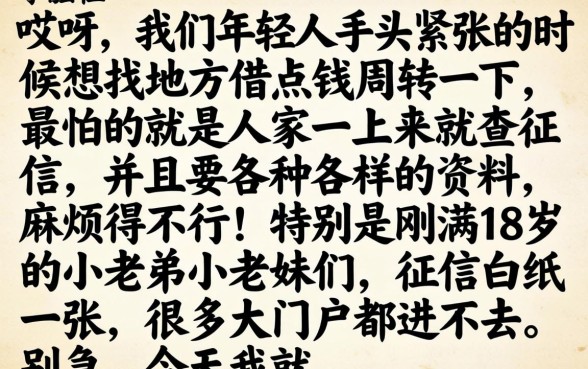 18岁什么平台可以借款，揭秘五个手机上可以借钱的软件