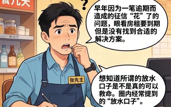 放水口子是什么意思，整理5个无视黑白100%秒下网贷平台