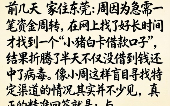 小猪白卡借款口子，归纳五个借款好下款的app