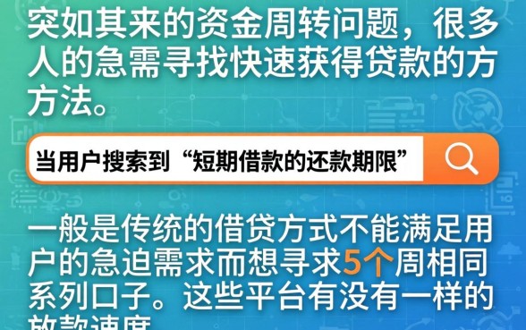 短期借款的借款期限，理出5个周周到贷款相同系列的口子