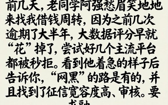 容易下款呢分期口子，概括5个网黑真正能下款的口子