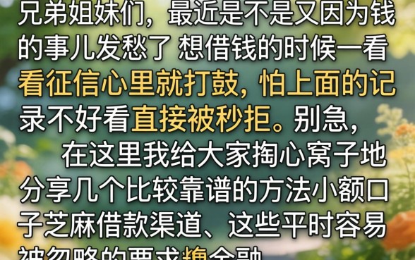 小额口子芝麻借款，归纳五个信用卡贷款口子好软件