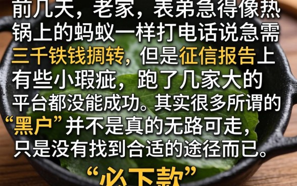 类似秒购下款的口子，条列5个网贷黑口子必下款app