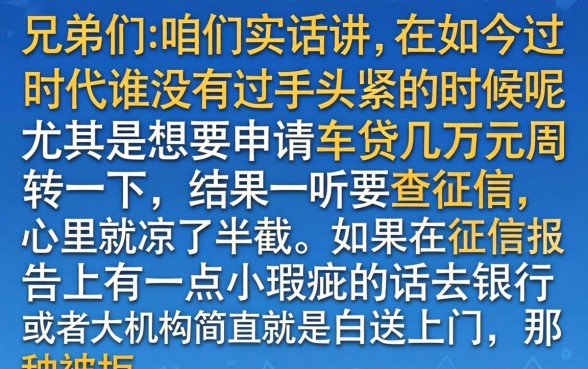 车贷几万不看征信吗，深入剖析五个秒下700芝麻分贷款软件