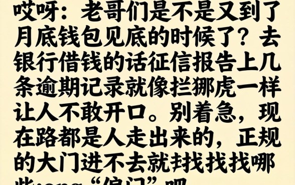 网黑口子24年盛行，理出五个不上征信报告的贷款口子