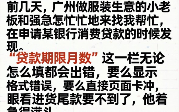 贷款期限月数填不上，详细阐述5个网贷无视不查征信平台