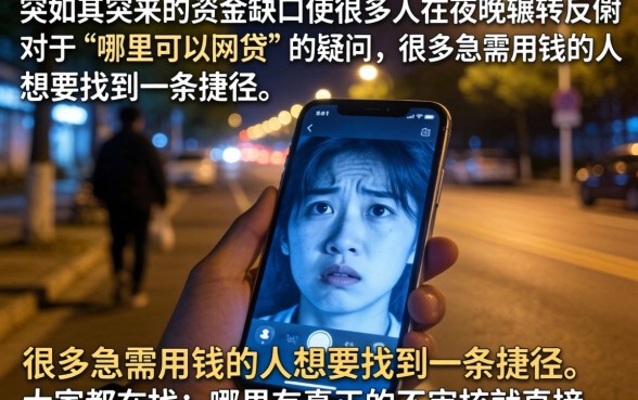 什么地方可以网贷，热忱推荐五个不审核直接下款的口子