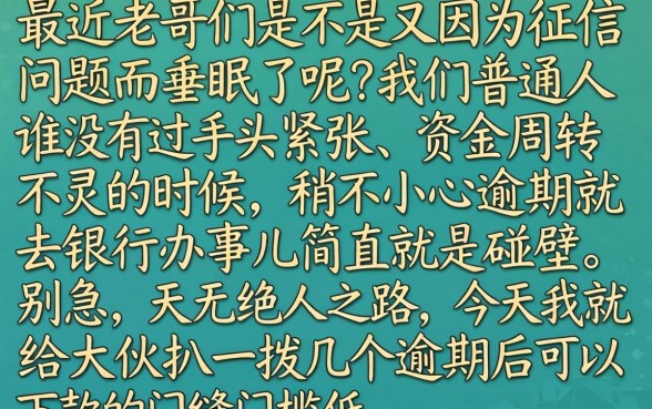 逾期了能下款的口子，概括5个7月能贷款的app