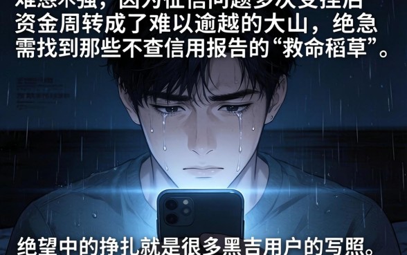 黑户能贷的网贷吗，细致阐述五个无视风控8000必下口子