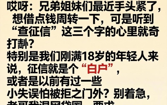 18岁贷款不看征信的，热忱推荐5个18岁必下款的网贷口子