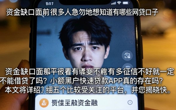 都有什么网贷的口子，详尽说明5个手机小额黑户快速贷款app