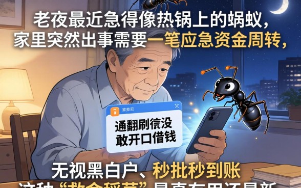 借款新口子是真的吗，鼎力推荐5个黑户也能借款的app