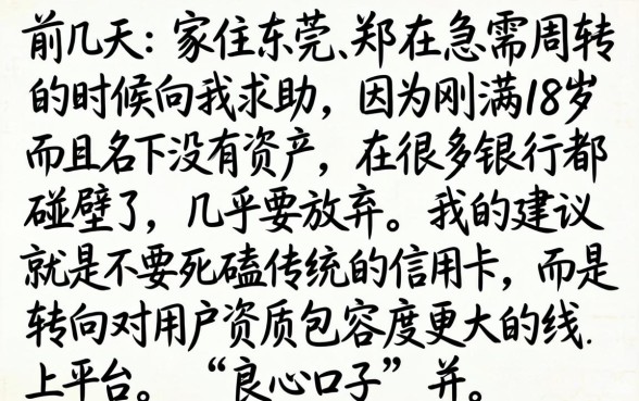 良心信用卡借款口子，遴选5个不看年龄征信负债的app