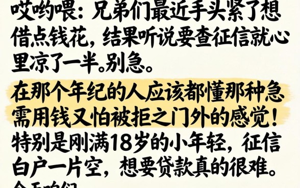 18岁的贷款软件哪些会批，概览5个18岁借款神器快速下款口子