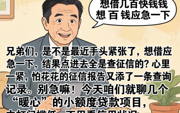 500的下款口子，深入剖析5个周周到贷款相同系列的平台