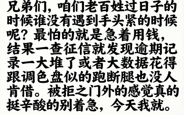无视各种黑白户口子，热忱推荐五个无视逾期大数据花户黑户app