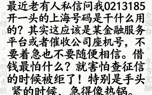 0213185开头的上海数字是干嘛的呢，汇总五个无忧速借当天放款的平台