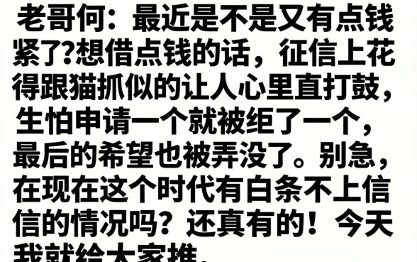 有白条不上征信的吗，枚举五个无视评分的贷款平台