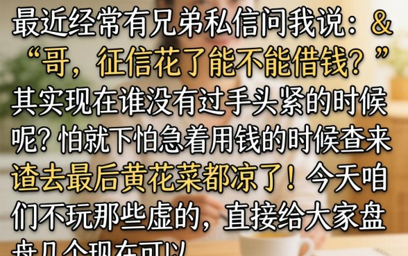 现在能秒下款的口子，概括5个简单容易贷款软件