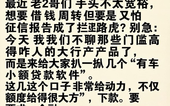 有车小额贷款软件，汇总五个贷款好做不看征信的app