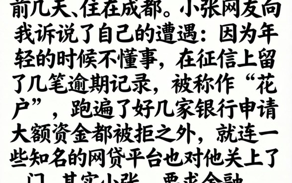 大额好下款的口子，概览5个无视黑户花户必下款口子