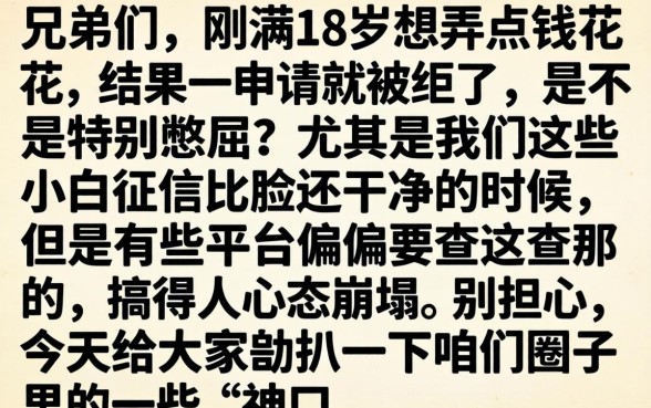 18岁在哪借钱一定成功，概括五个无视黑白下款8000左右的口子