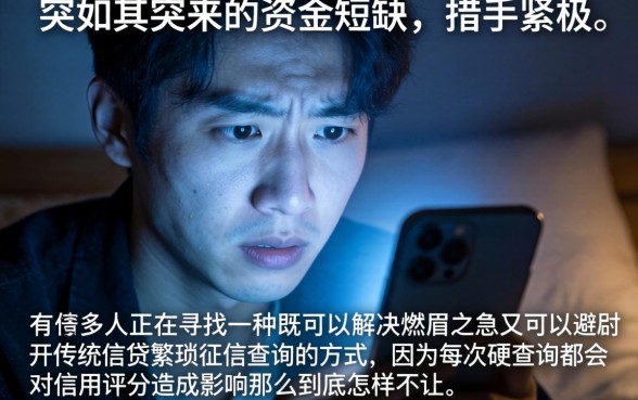 怎么让人不上征信，陈列5个闪电审批的平台