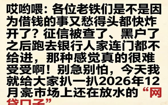 2026年12月黑户下款的口子，详细阐述五个黑户百分百不拒的2000借款口子