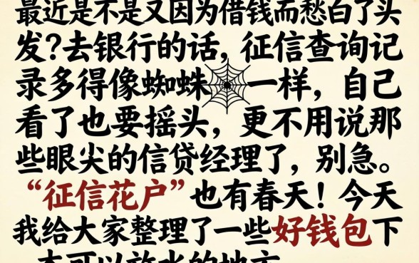 好钱包旗下放水口子，规整五个黑户烂户秒下一万