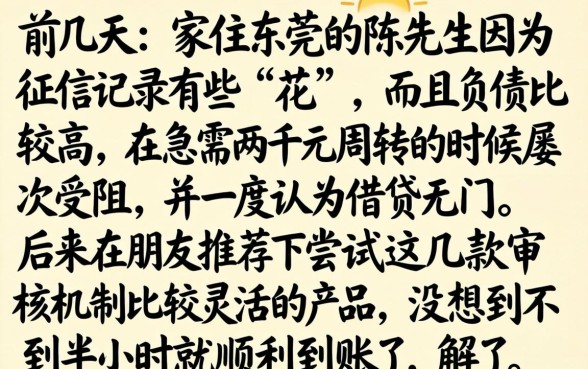 500双黑花口子，汇总五个贷款通过高的app