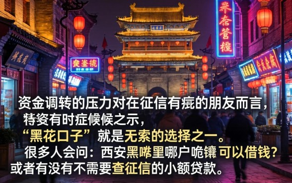 西安黑花口子借款，深入剖析5个黑户可快速办理小额贷款业务的软件