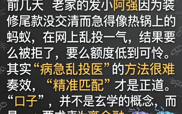 能下6000的口子，概览五个12月能贷款的口子