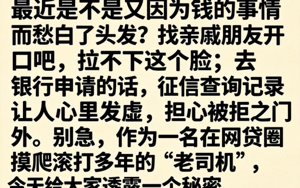 中介贷款口子论坛，整合5个不用芝麻分能借的平台