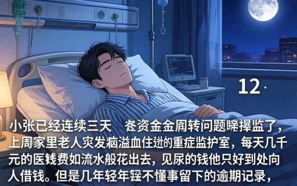 黑花了口子借款详解，详尽说明5个黑户好下款的网贷口子