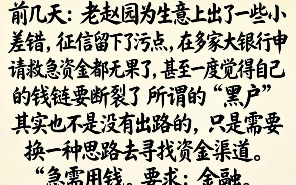 黑户贷款口子秒下款，整理5个高能分期贷款平台新秀