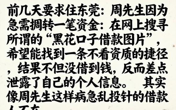 黑花口子借款图片，归集5个闪电审批的软件