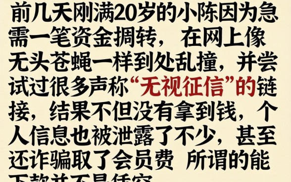 能下款的银行口子，汇总5个20岁借钱不求征信速借软件