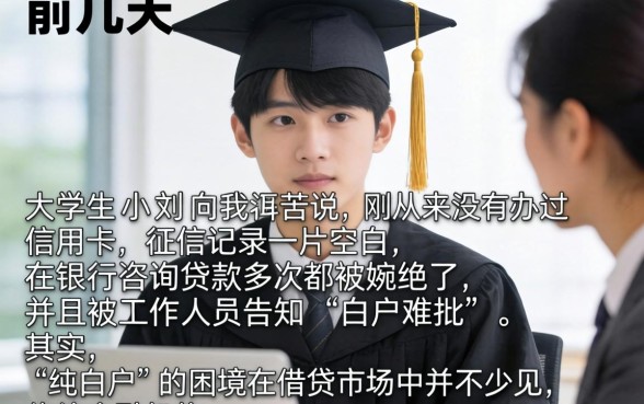 纯白户怎么贷款多，陈列五个凭支付宝花呗贷款的软件