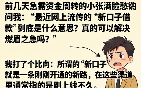 新口子借款什么意思，归集五个比较靠谱的借钱平台