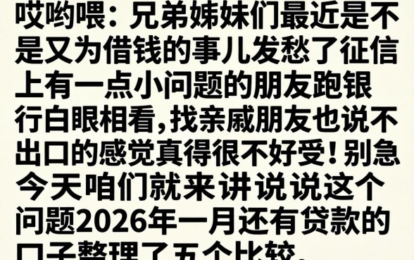 2026年一月还下款的口子，深入剖析五个包下款平台无视黑白的网贷