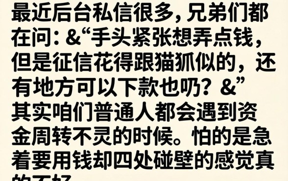 网贷容易下的app，精选五个贷款不上诚信平台的平台