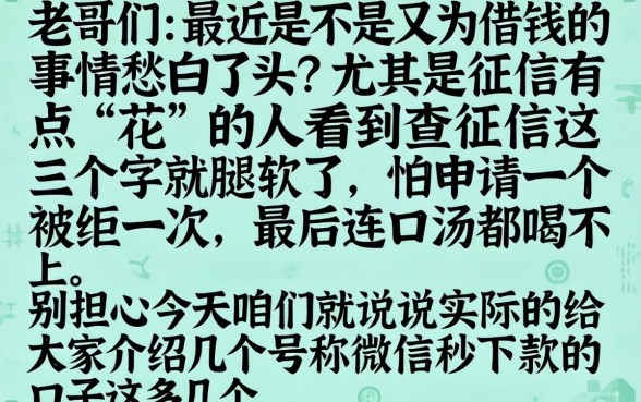 能微信秒下款的口子，概览5个新手机号容易下款的口子