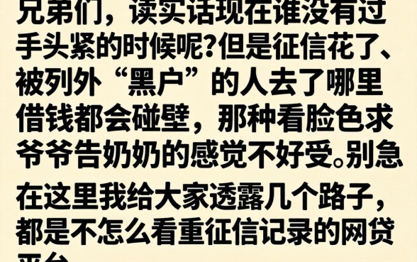 双黑下款2026，遴选五个黑白贷款不是高炮的软件