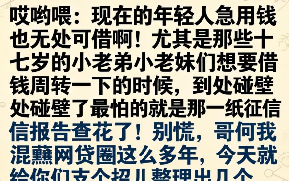 十七岁怎么借钱合适，胪列五个能百分百通过的网贷软件
