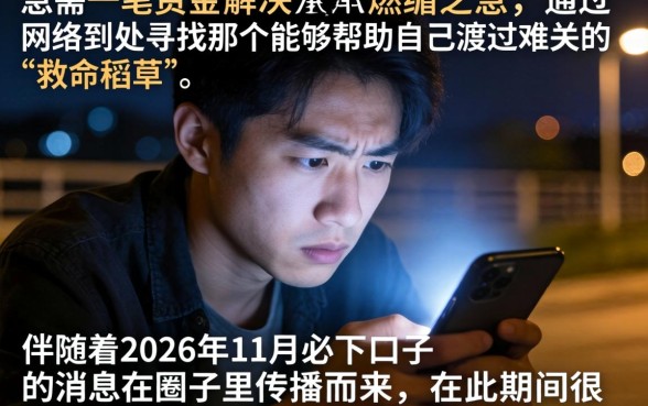 2026年11月必下口子，规整5个不看征信查询的口子