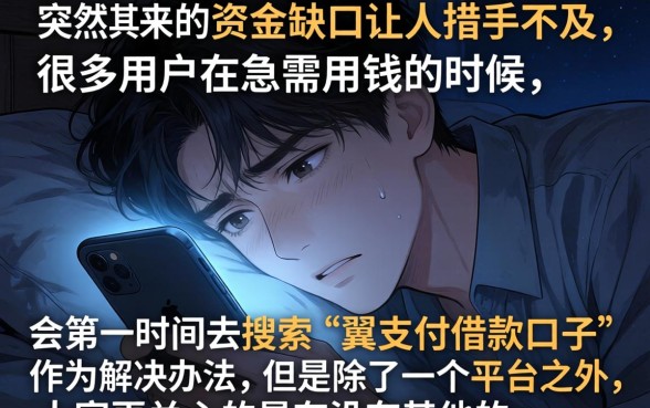 翼支付的借款口子，理出五个芝麻信用可以借钱的app