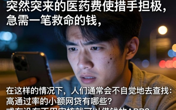 通过率高的小额网贷，筛选五个可以借钱不用审核的app